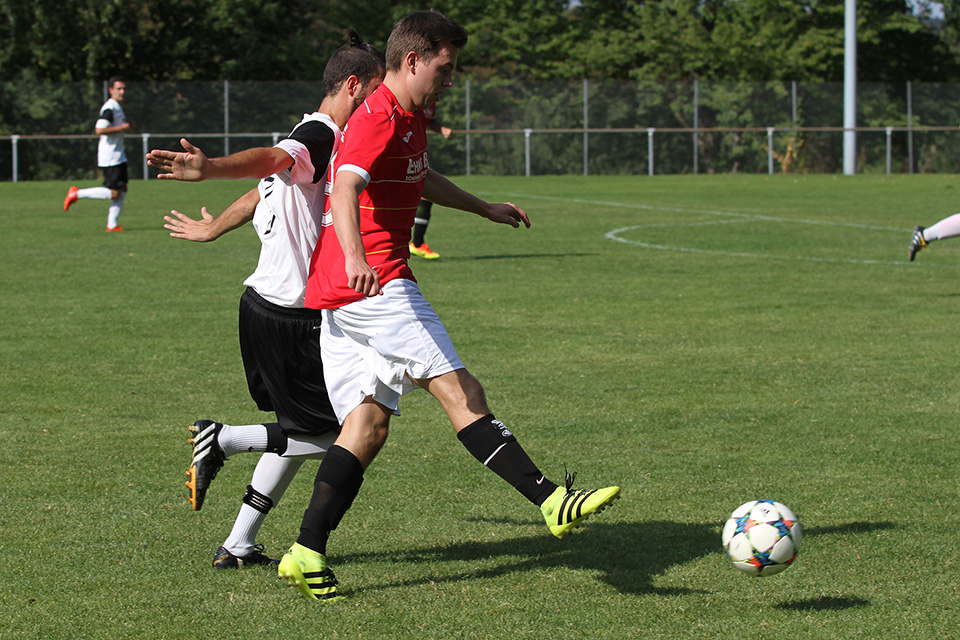 Bild 10/86 Bild 10