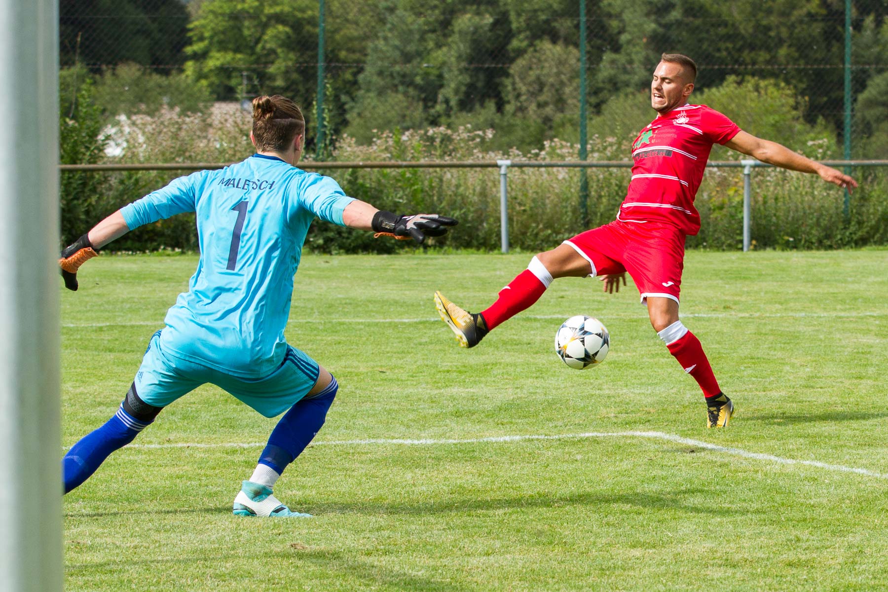 Ein Bild, das mal wieder mehr sagt als 1000 Worte.