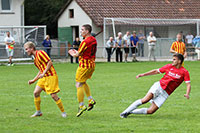 SG Hohenwart/Würm — SG1 3:0 (1:0)