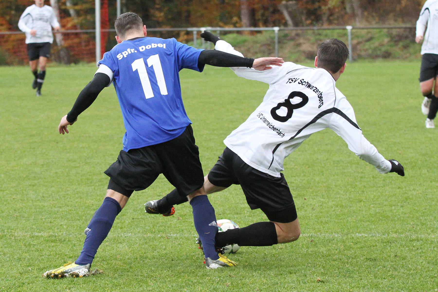 Ein Bild, das mal wieder mehr sagt als 1000 Worte.