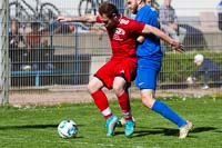 SG1 — TSV Mühlhausen a.d. Würm 2:0 (1:0)