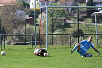 SG2 — FV Wildbad 3:1 (1:1)
