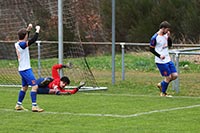 SG2 — TSV Mühlhausen an der Würm 3:3 (1:3)