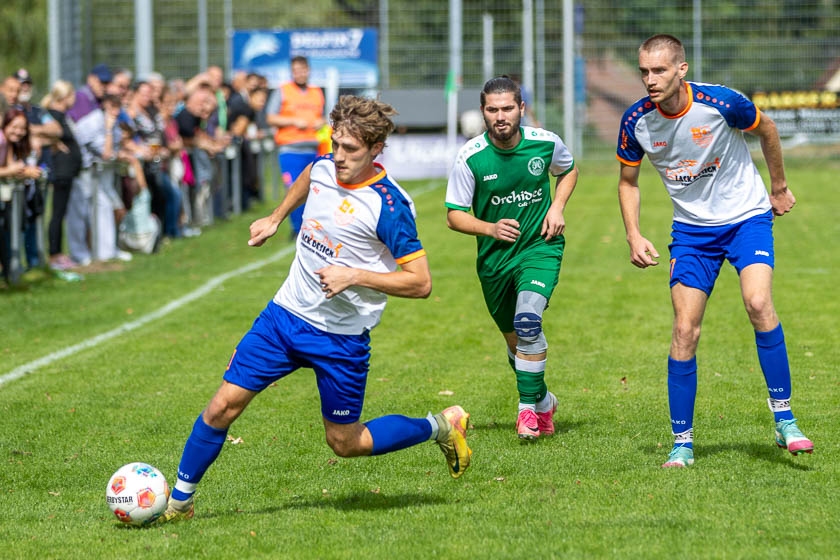 Bild 12