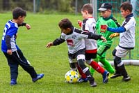 F-Jugend-Spieltag in Schwarzenberg