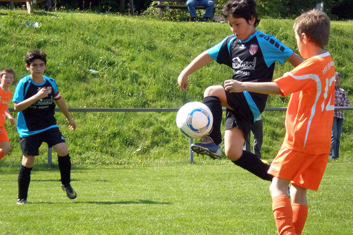 Bild 6/25 Bild 6