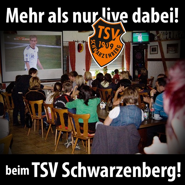 2014-06-04_tsv_wm-werbung