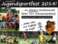 Jugendsportfest 2014