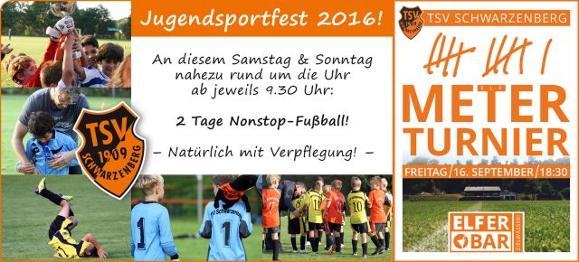 2016-09-12_tsv_jugendsportfest2016-und-elferturnier